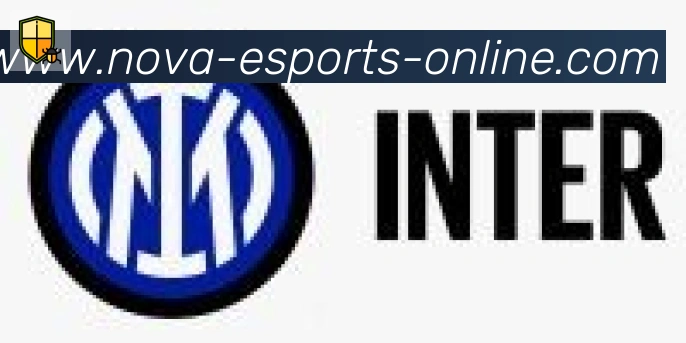 DOTA比分合作伙伴