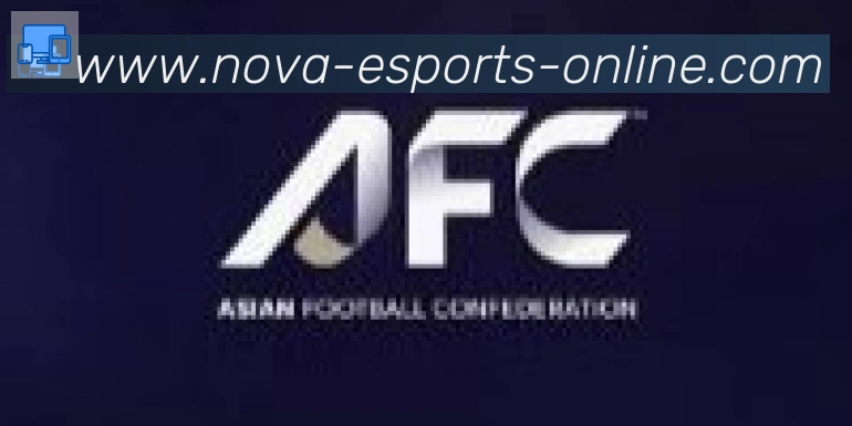 DOTA比分合作伙伴